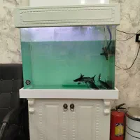 آکواریوم معاوضه با تلویزیون