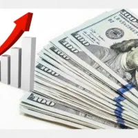 ضامن وام مهربانی