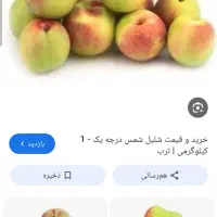 اجاره شلیل شمس