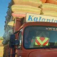 کاه دیم
