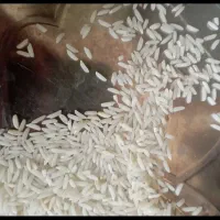 برنج هاشمی درجه یک آستانه اشرفیه