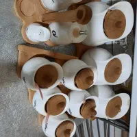 پاسماری سفیدبا استند