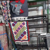 دار قالیبافی وگلیم باف