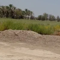زمین کشاورزی فروشی