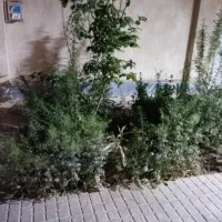 دانشگاه صنعتی جنوبی فروشی یکجا
