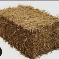 پرس گندم جو