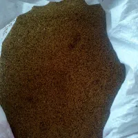بذر یونجه