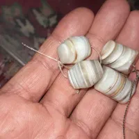 مهره جفتی سلیمانی