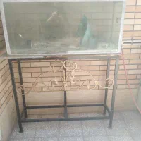 آکواریم