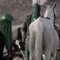 اسب تغذیه