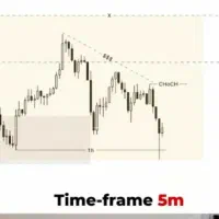 تریدر فارکس