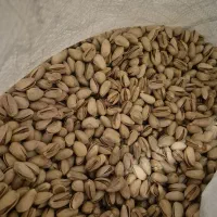 خرید و فروش پسته عمده و خرده