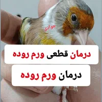 سهره قناری