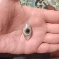 سنگ بابا قوری