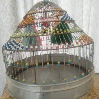 قفس پرنده طرقه