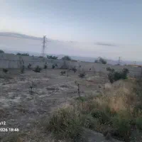 باغ
