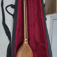 سه تار حرفه ای سرپنجه طاووسی