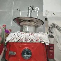گل فر