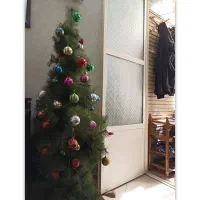 درخت کریسمس