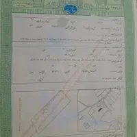زمین