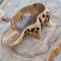 میوه خوری و شیرینی تنقلات مزه