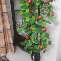 درخت سیب|گل مصنوعی|کرج, شاهینویلا|دیوار