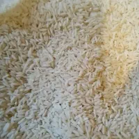 ۴۰ کیلوگرم برنج هاشمی خالص تضمینی