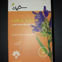 دمنوش بادرنجبویه از برند ستین