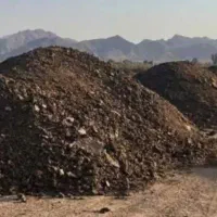 کود گاو