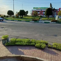 فروش انواع نشاء