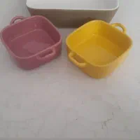ظروف پذیرایی نو