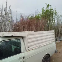 باربند پیکان وانت