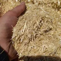 کاه  نرم گندم بدون خاک