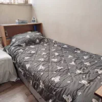 تخت یک نفره آپادانا