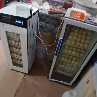 دستگاه جوجه کشی