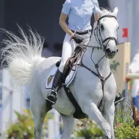 آموزش سوارکاری توسط مربی خانم