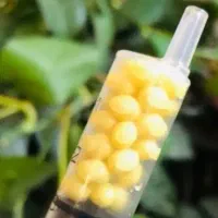 خاویار تازه حلزون جوان ساز