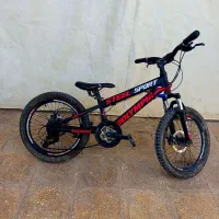 دوچرخه دنده ای  ۲۰