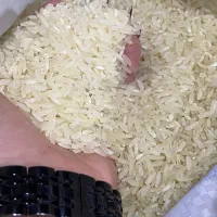 برنج اصل نور اباد فجر پنج ستاره ۲۳۰۰۰