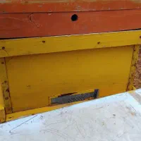 کندوی زنبورعسل