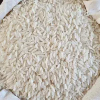 تخفیف ویژه برنج هاشمی محلی کلاچای مستقیم شالیزار