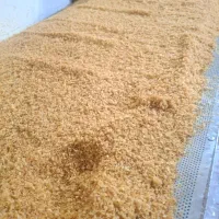 پیاز داغ سیر داغ