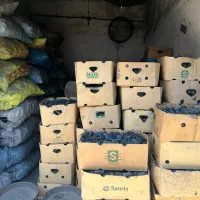 فروش انواع زغال لیمو و کبابی درجه یک