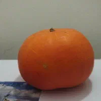 فروش کدو محلی و همدانی