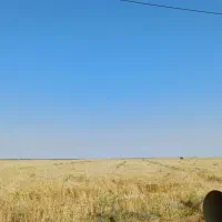 فروش-ومعاوضه-زمین-کشاورزی-آبی