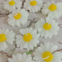 شمع دست ساز بارنگ بندی تک عمده پذیرفته میشود