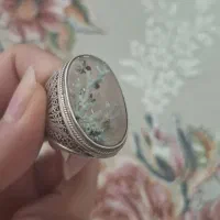 شجر دریایی