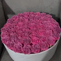 گل رز|گل مصنوعی|قرچک, مهدیه|دیوار