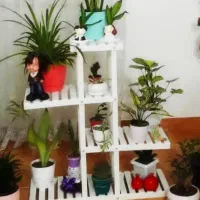 اسندگل سالم وتمیز رنگ سفیدوقهوه ای موجوده