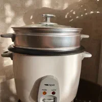 پلوپز و بخارپز نو